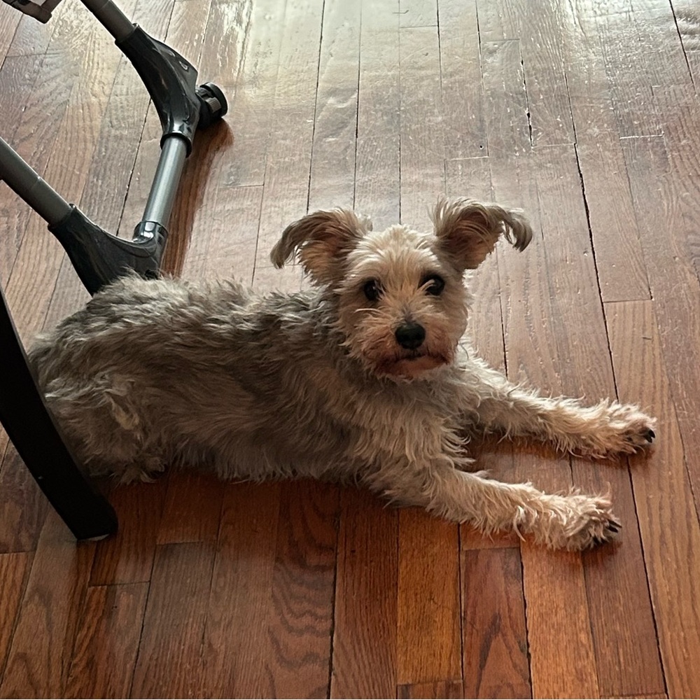 Meet your Posher, Marissa